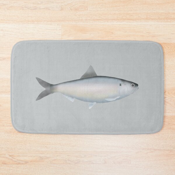 Item preview, American Shad designed and sold by fishfolkart.
