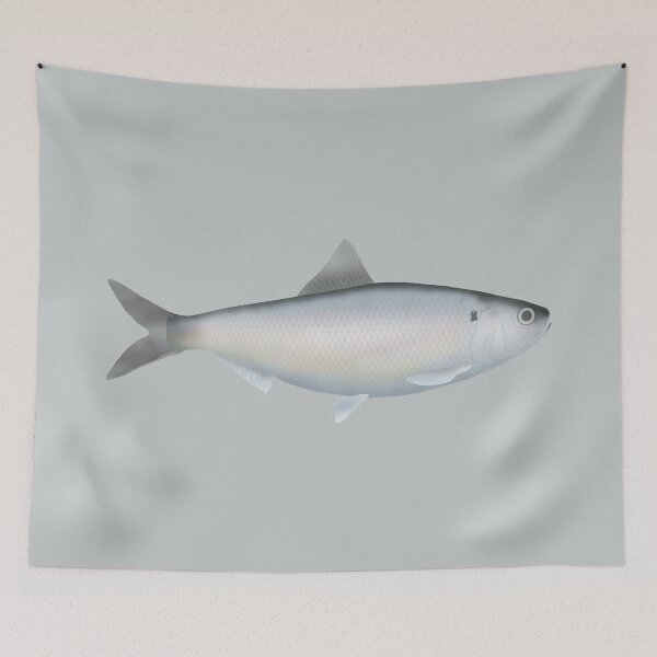Item preview, American Shad designed and sold by fishfolkart.