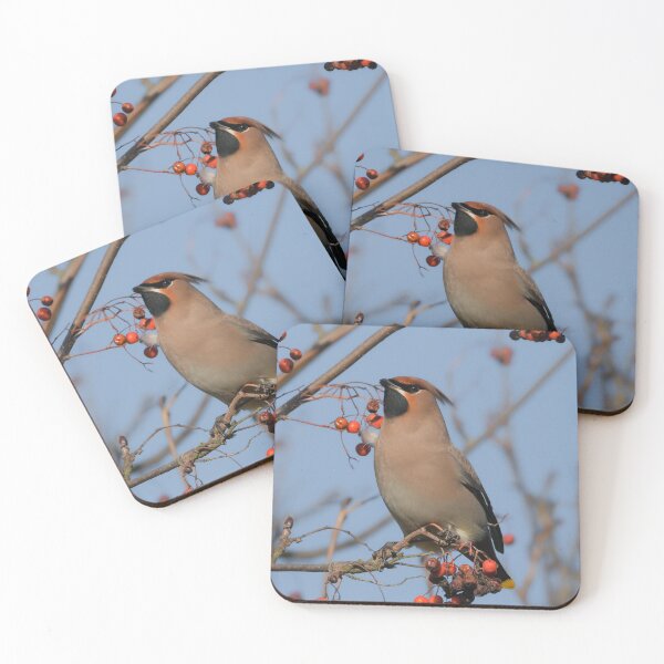 Item preview, Waxwing designed and sold by photobytableau.