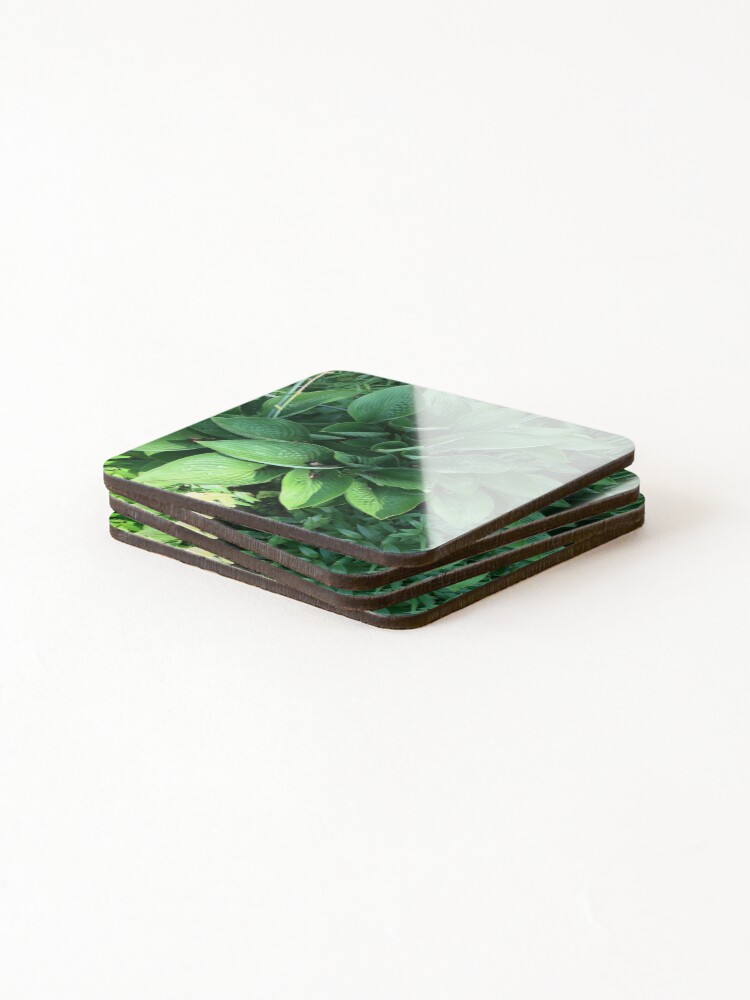Thumbnail 4 of 5, Coasters (Set of 4), Hosta designed and sold by Ravsarah.