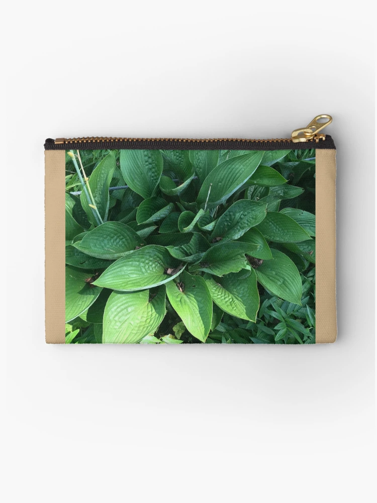 Thumbnail 1 of 4, Zipper Pouch, Hosta designed and sold by Sarah Meytin.