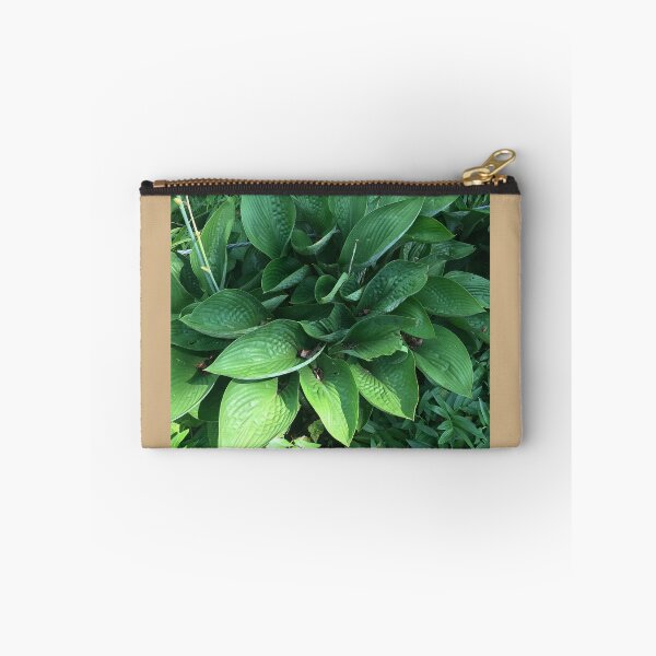 Item preview, Hosta designed and sold by Sarah Meytin.