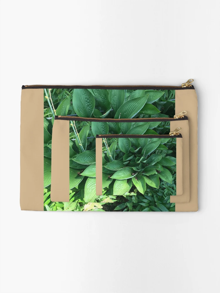Thumbnail 2 of 4, Zipper Pouch, Hosta designed and sold by Sarah Meytin.