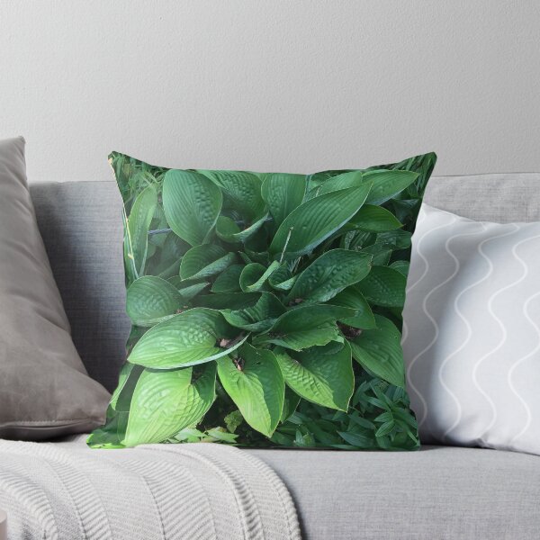Item preview, Hosta designed and sold by Sarah Meytin.