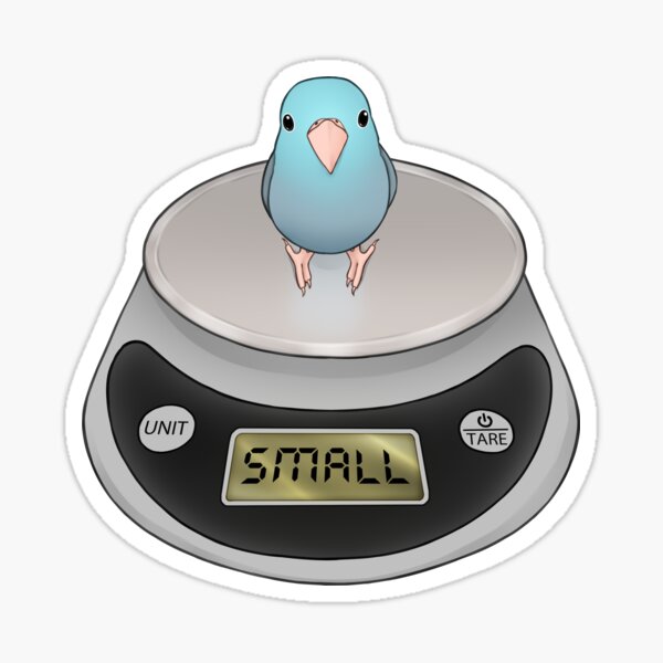 Item preview, Small Birb designed and sold by meruesan.