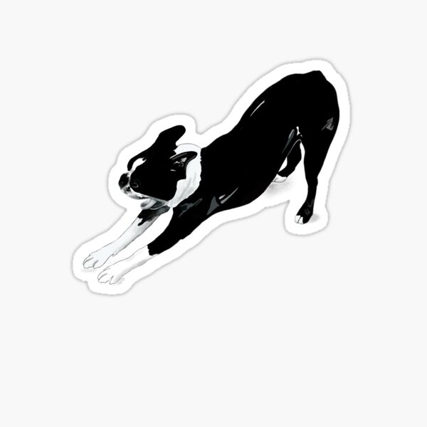 Item preview, The Yoga Dog designed and sold by patneves7.