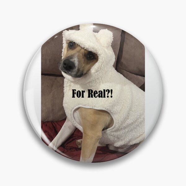 Item preview, Dog in Coat-For Real?! designed and sold by Sarah Meytin.