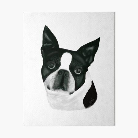 Item preview, Beloved Boston Terrier, Bella designed and sold by patneves7.