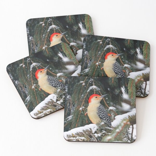Item preview, Red Bellied Woodpecker On Snowy Branch designed and sold by Deb Oppermann.