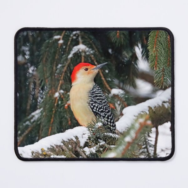 Item preview, Red Bellied Woodpecker On Snowy Branch designed and sold by Deb Oppermann.