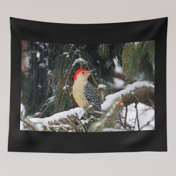 Item preview, Red Bellied Woodpecker On Snowy Branch designed and sold by Deb Oppermann.