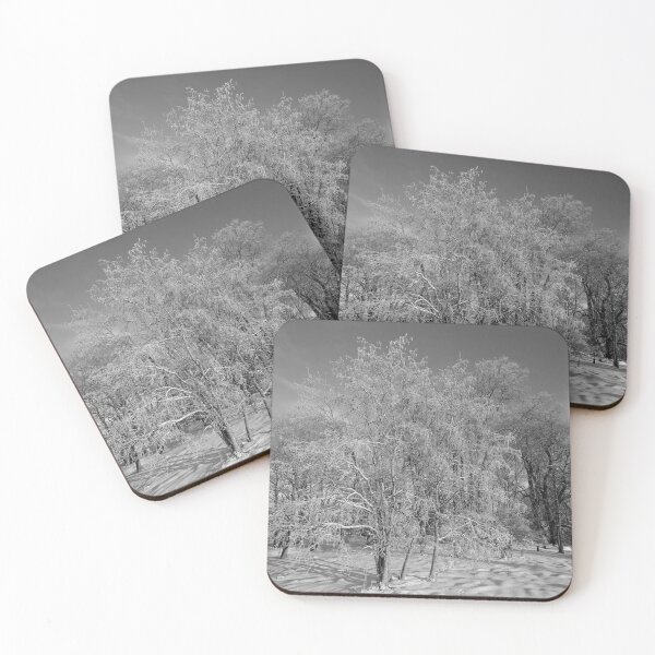Artikelvorschau, Pfarrgarten. Pirkkala bw entworfen und verkauft von Jouko Lehto Photography.