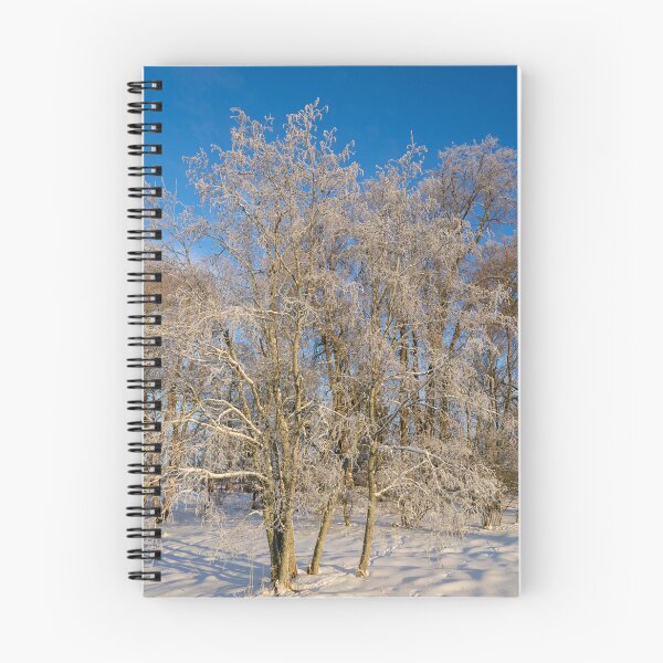 Artikelvorschau, Pfarrgarten. Pirkkala entworfen und verkauft von Jouko Lehto Photography.