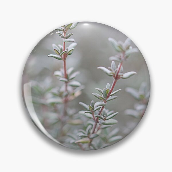 Item preview, Thyme present. designed and sold by Paul Pasco.