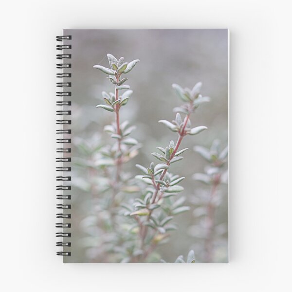 Item preview, Thyme present. designed and sold by Paul Pasco.