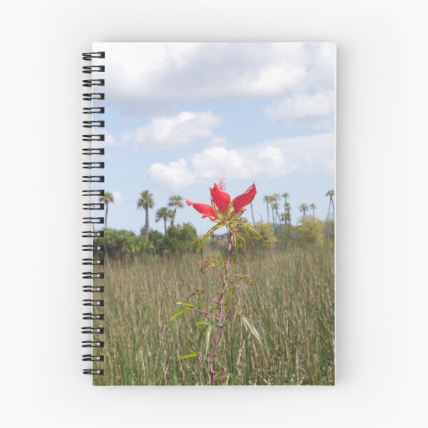 Item preview, Wetland Wildflower (Scarlet Rosemallow) designed and sold by Faith-B-Photos.