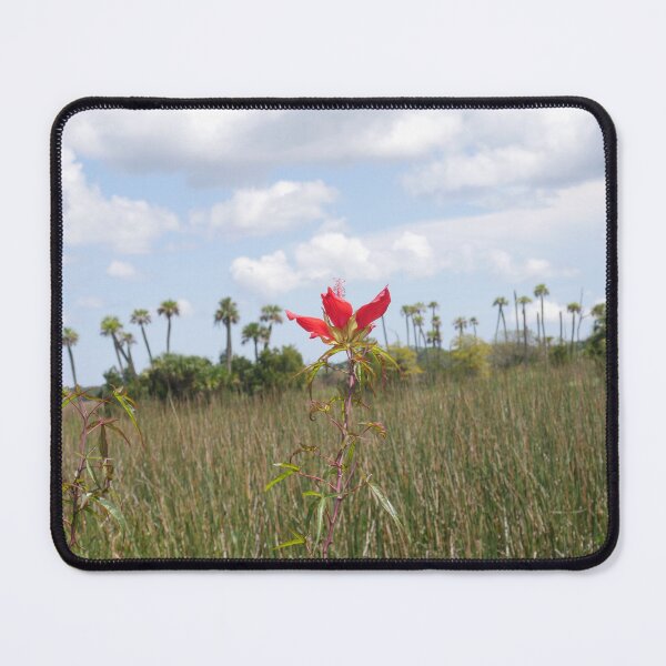 Item preview, Wetland Wildflower (Scarlet Rosemallow) designed and sold by Faith-B-Photos.