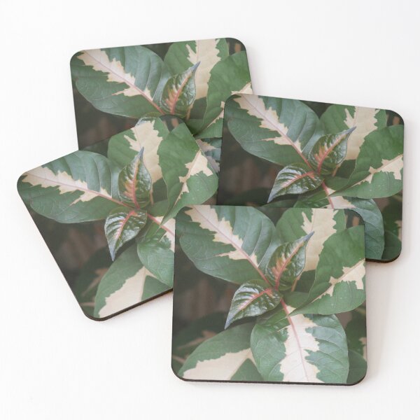 Item preview, Rosy Leaves designed and sold by Faith-B-Photos.