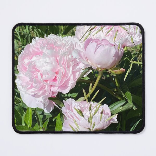 Item preview, 2022 Peonies designed and sold by Catherine Dixon.