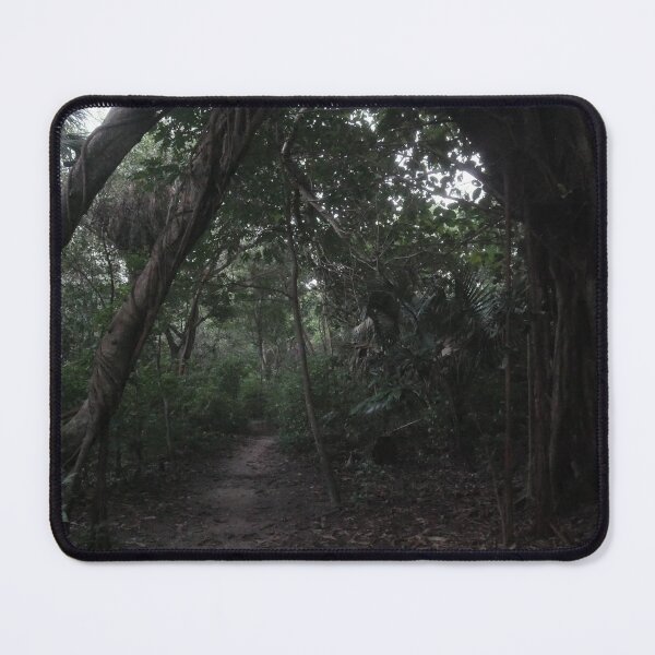 Item preview, Forested Path designed and sold by Faith-B-Photos.