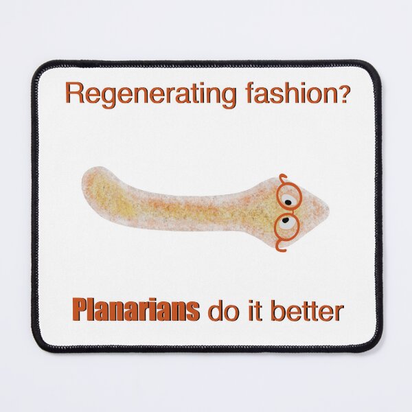 Item preview, Planarians do it better, 2nd ed  designed and sold by Osher-BioArt.