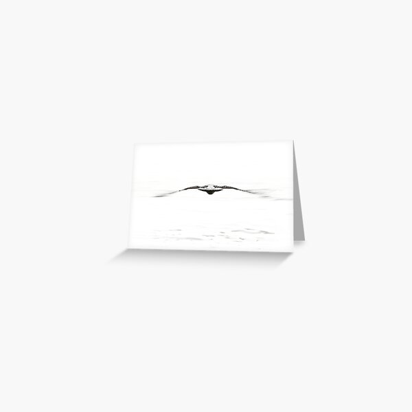 Endless Flight Greeting Card