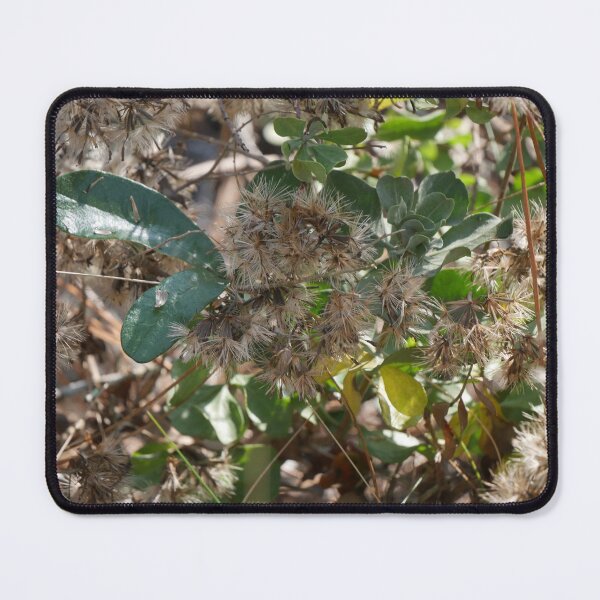 Item preview, Fluffy Seeds designed and sold by Faith-B-Photos.
