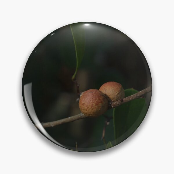 Item preview, Oak Galls designed and sold by Faith-B-Photos.