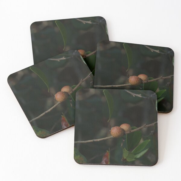 Item preview, Oak Galls designed and sold by Faith-B-Photos.