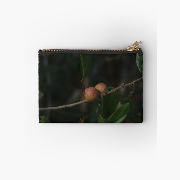 Item preview, Oak Galls designed and sold by Faith-B-Photos.