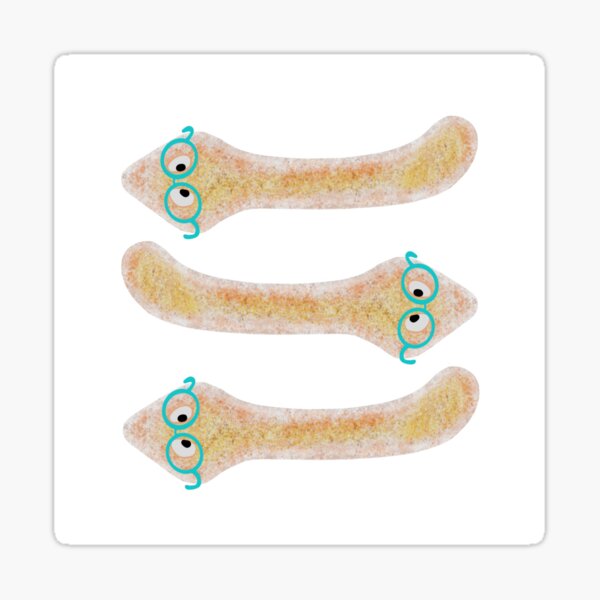 Item preview, Planaria flatwarms designed and sold by Osher-BioArt.