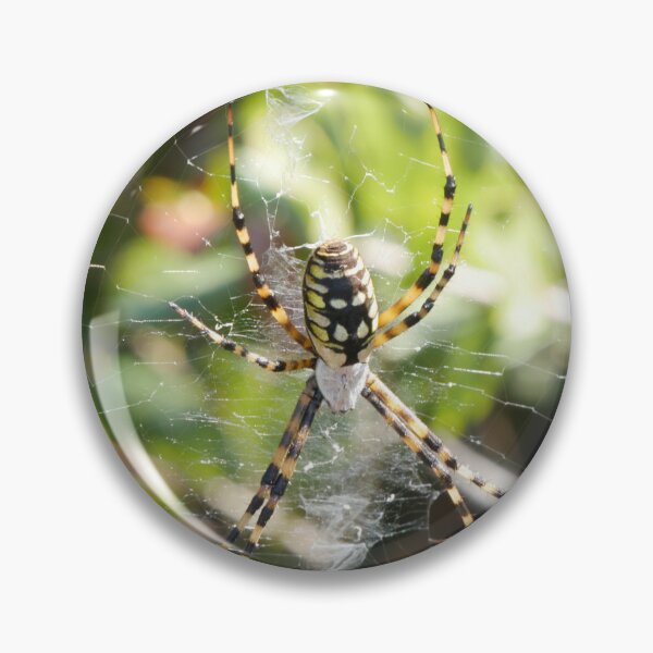 Item preview, Araña de jardín amarilla designed and sold by Faith-B-Photos.