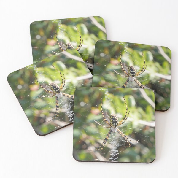 Item preview, Yellow Garden Spider designed and sold by Faith-B-Photos.