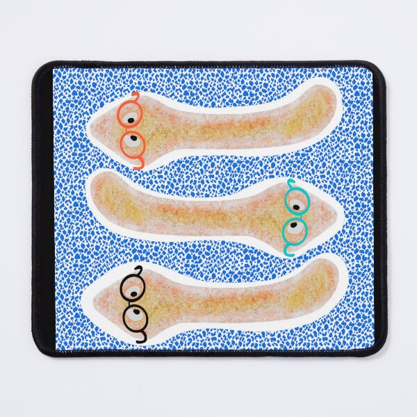 Item preview, Planaria flatwarms 3rd ed designed and sold by Osher-BioArt.
