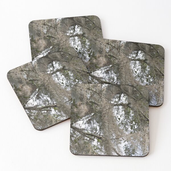 Item preview, Spanish Moss designed and sold by Faith-B-Photos.