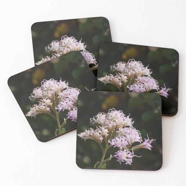 Item preview, Pink Blossoms designed and sold by Faith-B-Photos.