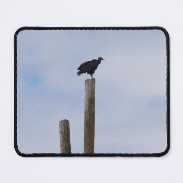 Item preview, Vulture designed and sold by Faith-B-Photos.