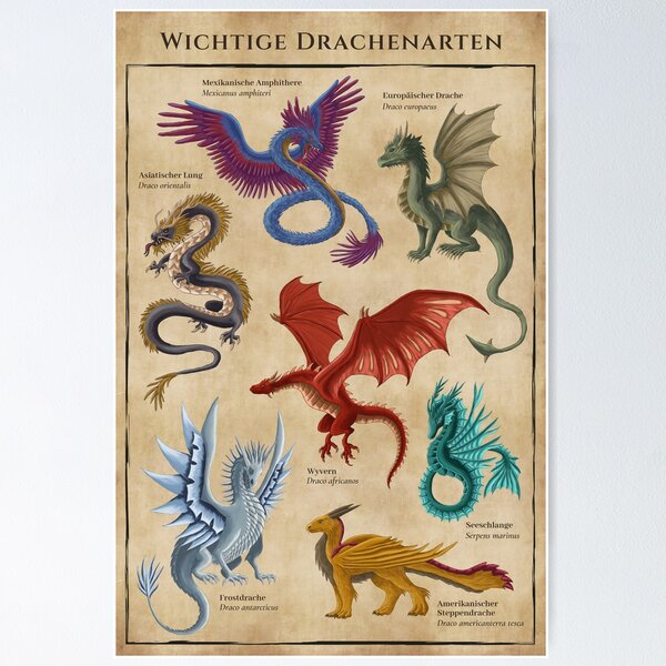 Vintageposter zeigt wichtige Drachenarten mit lateinischem Namen Poster