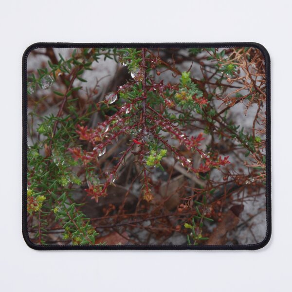 Item preview, Dewdrops on Red Leaves designed and sold by Faith-B-Photos.