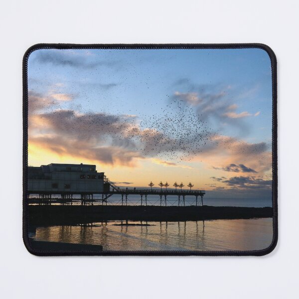 Item preview, Golden hour starlings designed and sold by GreyFeatherPhot.