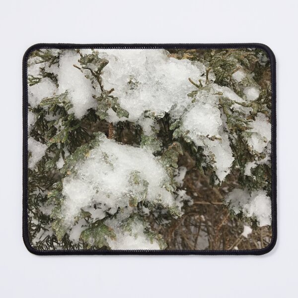 Item preview, Snowy Cedar Branch designed and sold by CJRPics.