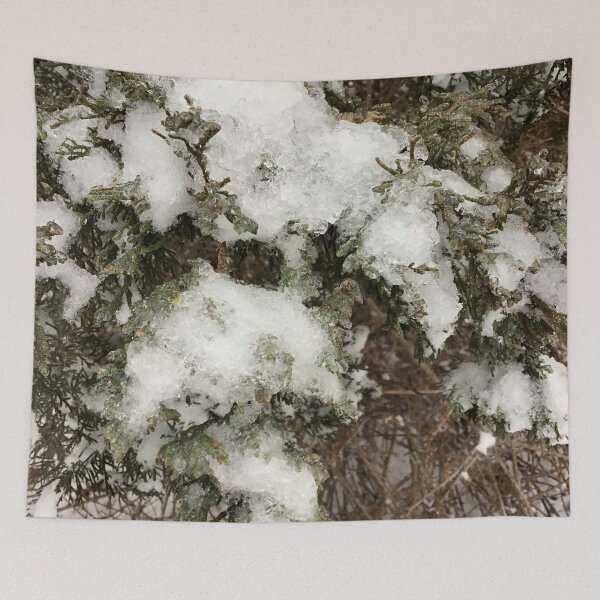 Item preview, Snowy Cedar Branch designed and sold by CJRPics.