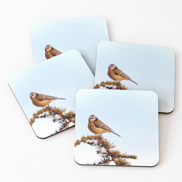 Item preview, Cyanistes caeruleus designed and sold by Stillherex.com Stillherex.es.