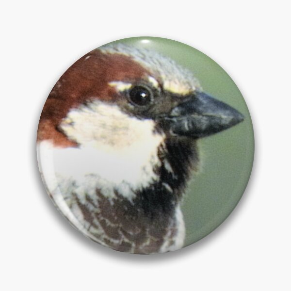 Item preview, Passer domesticus designed and sold by Stillherex.com Stillherex.es.