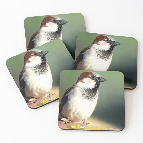 Item preview, Passer domesticus designed and sold by Stillherex.com Stillherex.es.