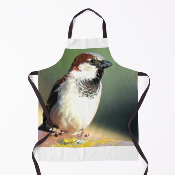 Item preview, Passer domesticus designed and sold by Stillherex.com Stillherex.es.