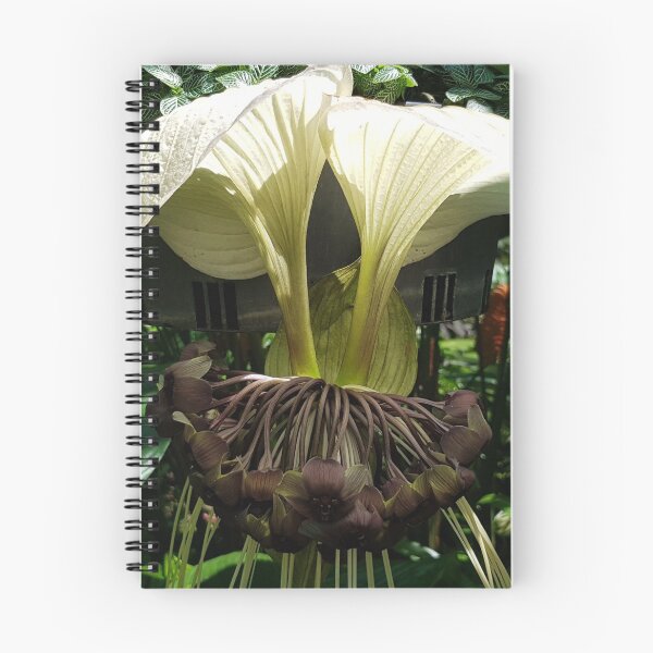 Item preview, Plant designed and sold by Shannonshaw300.
