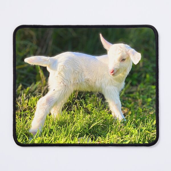 Item preview, Baby Goat stroll designed and sold by CritterCapers.