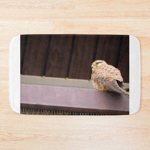 Item preview, Falco tinnunculus designed and sold by Stillherex.com Stillherex.es.