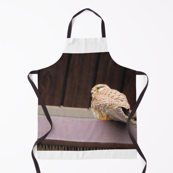 Item preview, Falco tinnunculus designed and sold by Stillherex.com Stillherex.es.